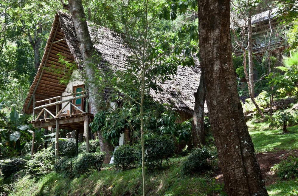 Karama Lodge Image 17