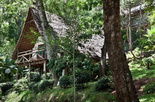 Karama Lodge image 17
