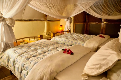Karama Lodge image 30