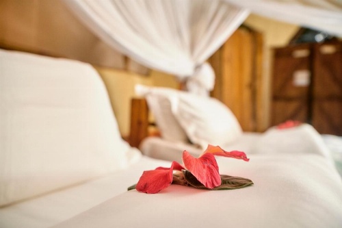 Karama Lodge image 31