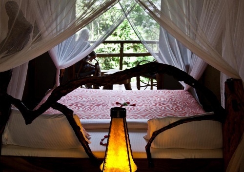 Karama Lodge image 5